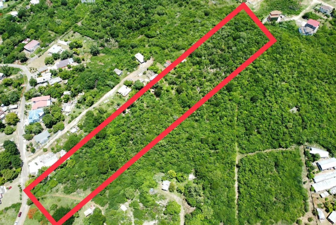 First image of Palmetto Pen in Palmers Cross, Clarendon, Jamaica - property is For Sale