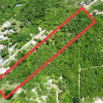 First image of Palmetto Pen in Palmers Cross, Clarendon, Jamaica - property is For Sale