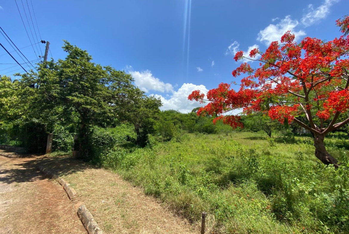 Fourth image of Palmetto Pen in Palmers Cross, Clarendon, Jamaica - property is For Sale