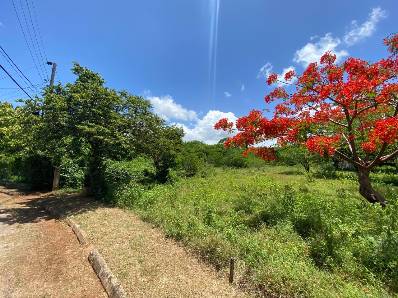 Fourth image of Palmetto Pen in Palmers Cross, Clarendon, Jamaica - property is For Sale