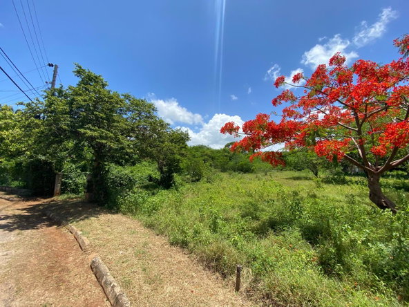 Fourth image of Palmetto Pen in Palmers Cross, Clarendon, Jamaica - property is For Sale