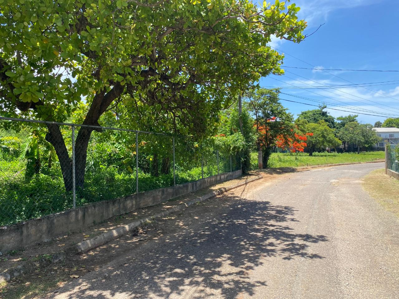 Fifth image of Palmetto Pen in Palmers Cross, Clarendon, Jamaica - property is For Sale
