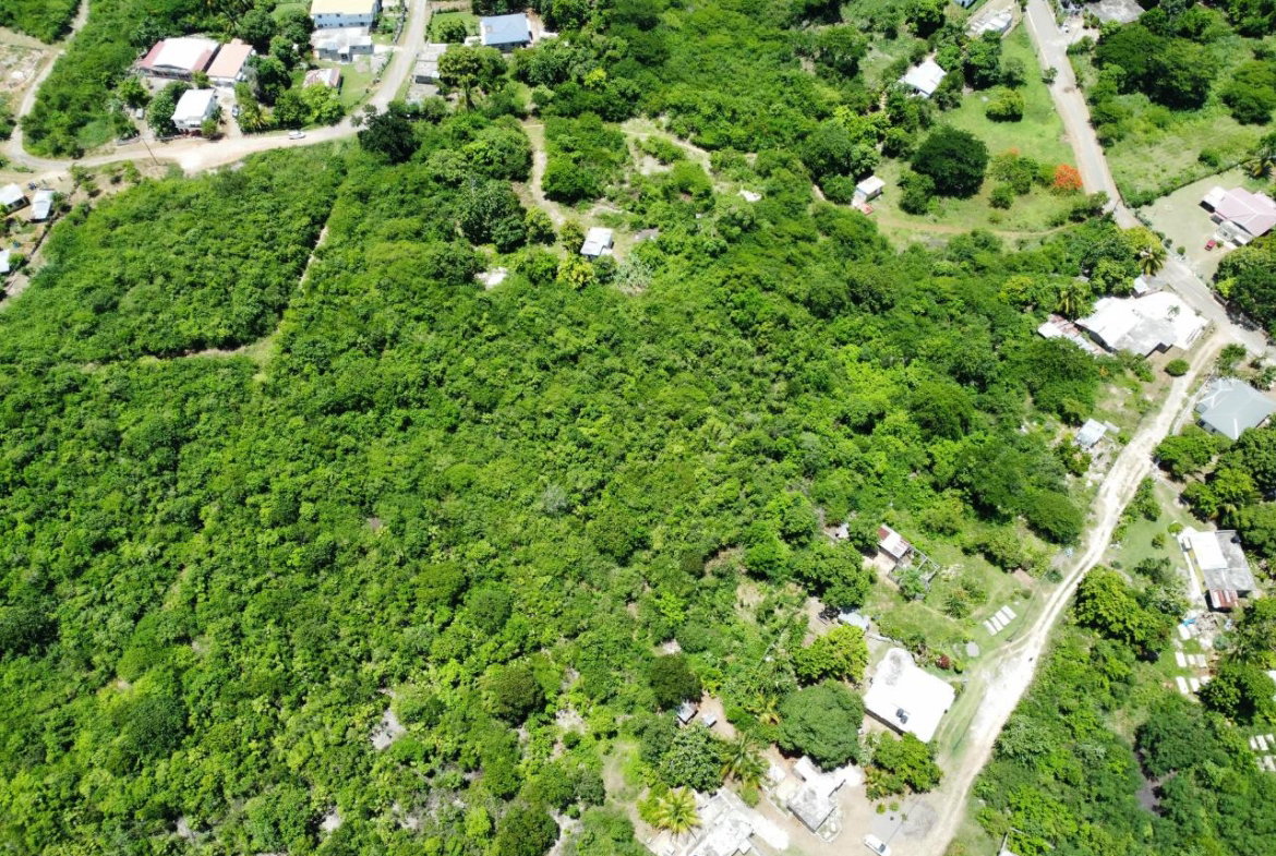 Seventh image of Palmetto Pen in Palmers Cross, Clarendon, Jamaica - property is For Sale