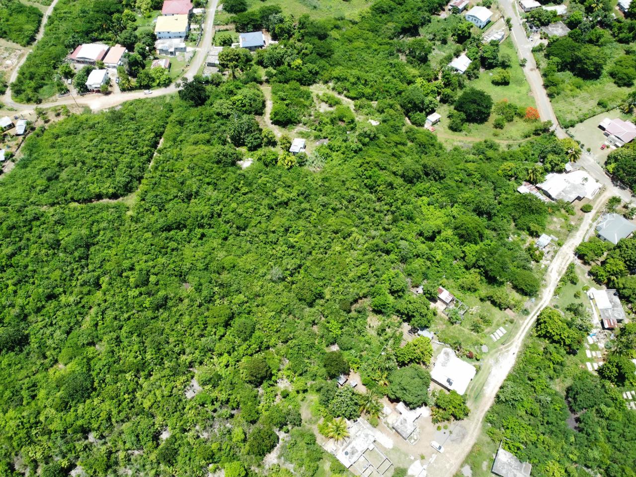 Seventh image of Palmetto Pen in Palmers Cross, Clarendon, Jamaica - property is For Sale