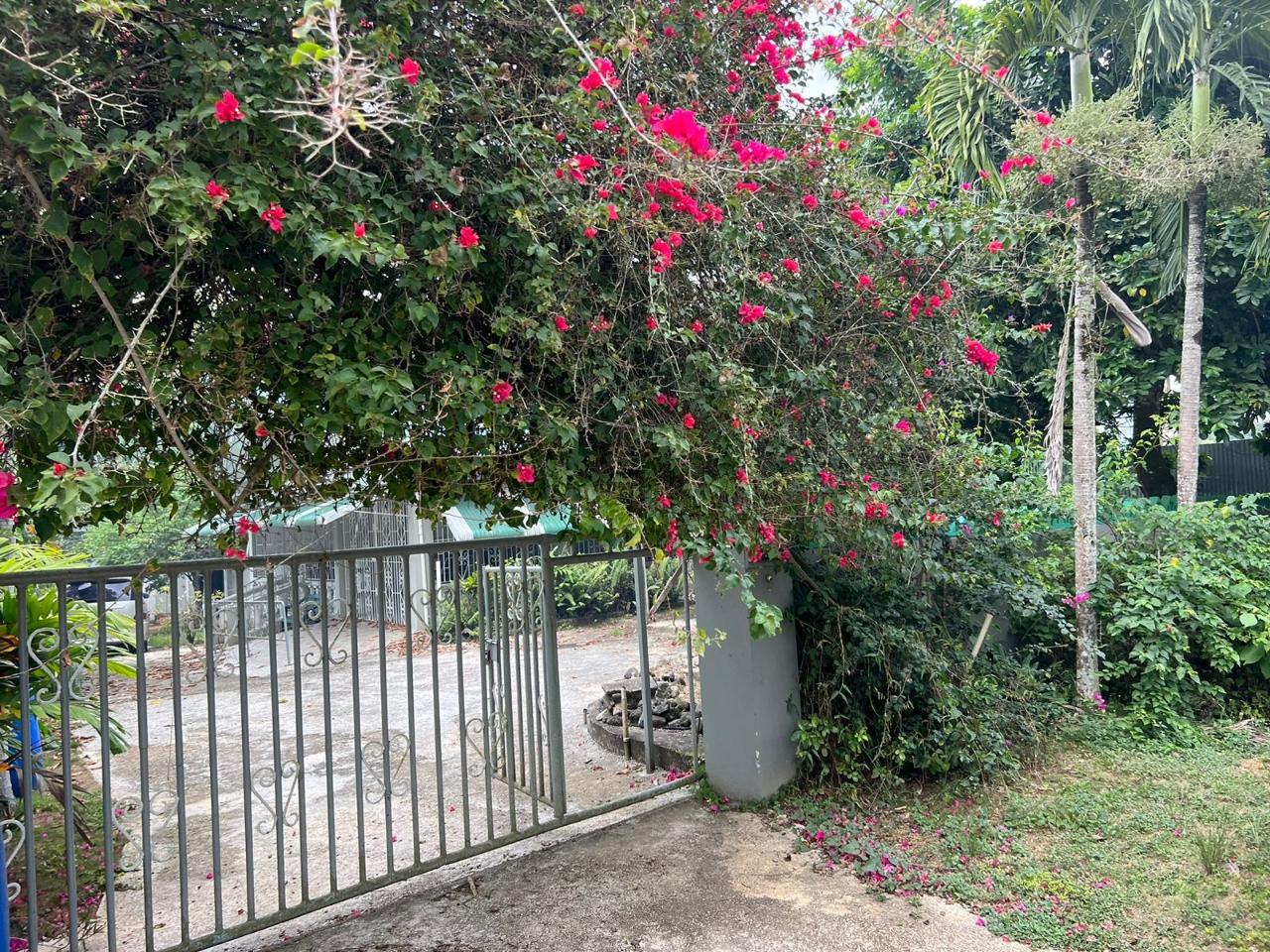 Eighth image of 5 Phoenix Park, Moneague in Moneague, St. Ann, Jamaica - property is For Sale