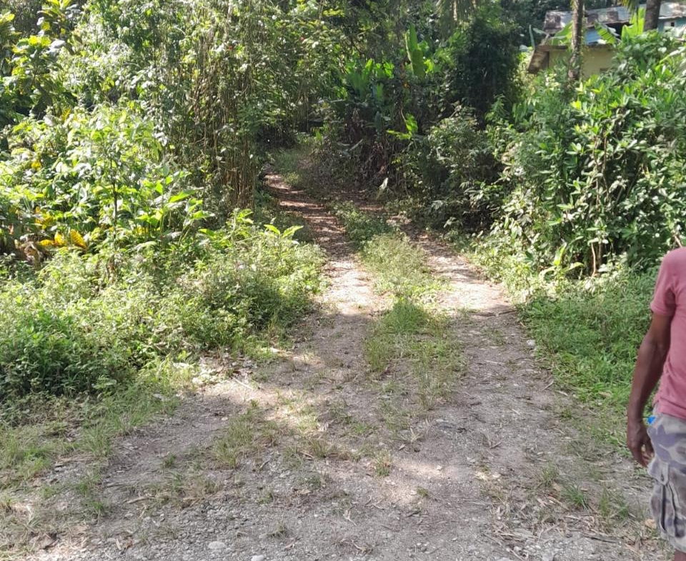 Second image of Coxpiece in Pembroke Hall, St. Mary, Jamaica - property is For Sale