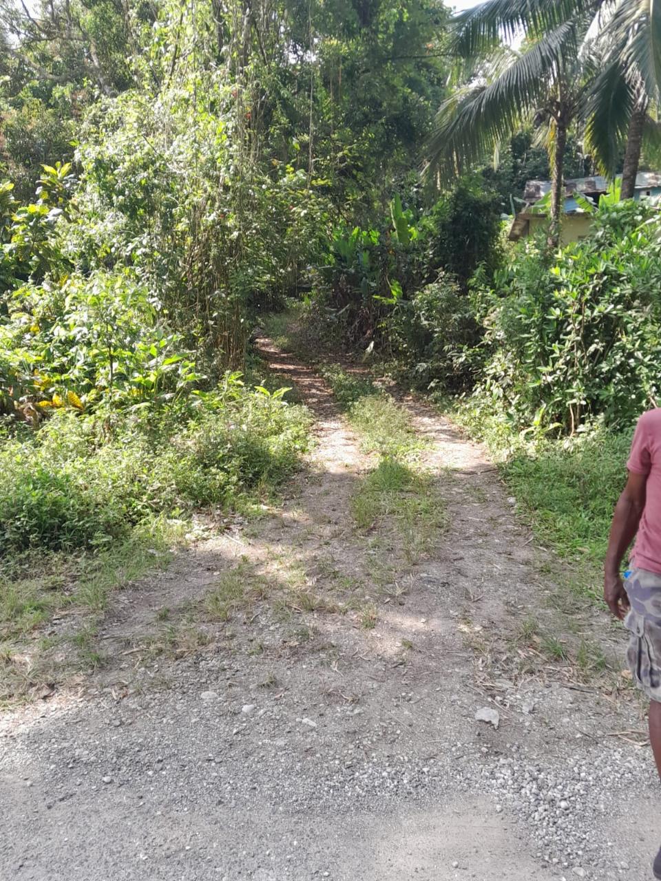 Second image of Coxpiece in Pembroke Hall, St. Mary, Jamaica - property is For Sale