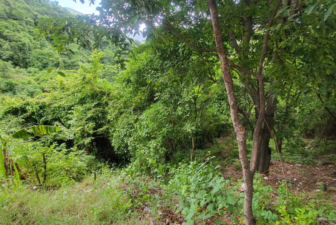 Second image of Part of Kintyre And Hope in PAPINE, St. Andrew, Jamaica - property is For Sale