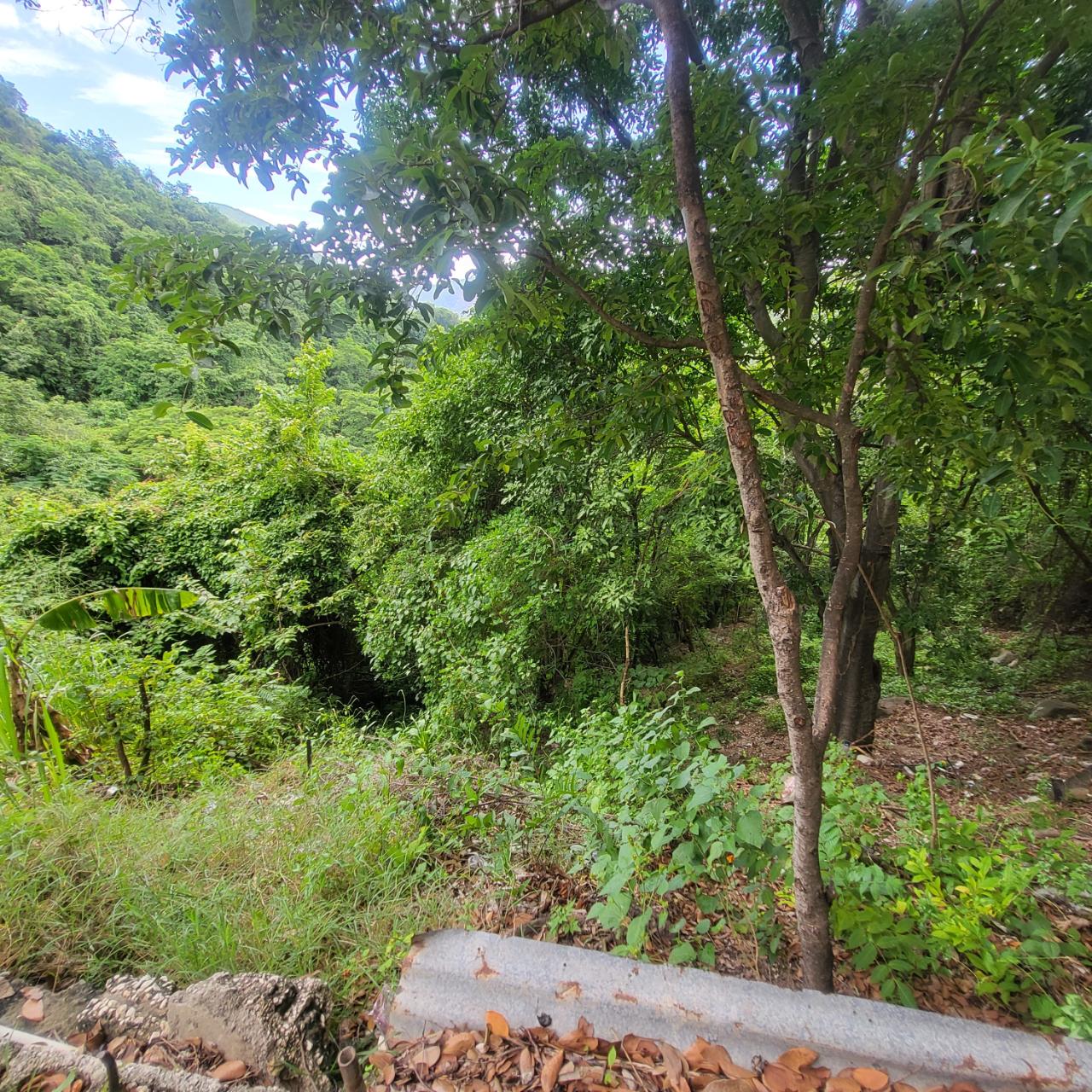 Fertile-Development-Land-for-Sale-in-St.-Andrew-Jamaica Second image of Part of Kintyre And Hope in PAPINE, St. Andrew, Jamaica - property is For Sale