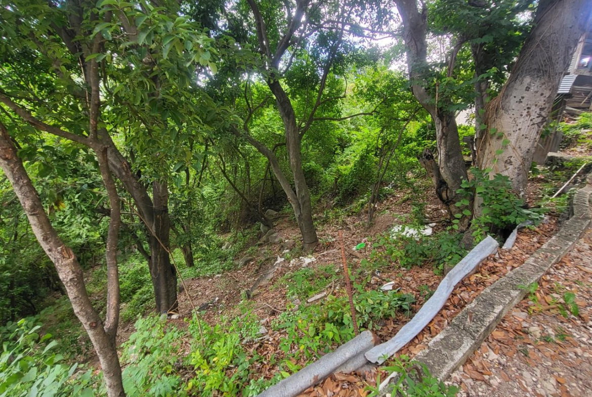 First image of Part of Kintyre And Hope in PAPINE, St. Andrew, Jamaica - property is For Sale