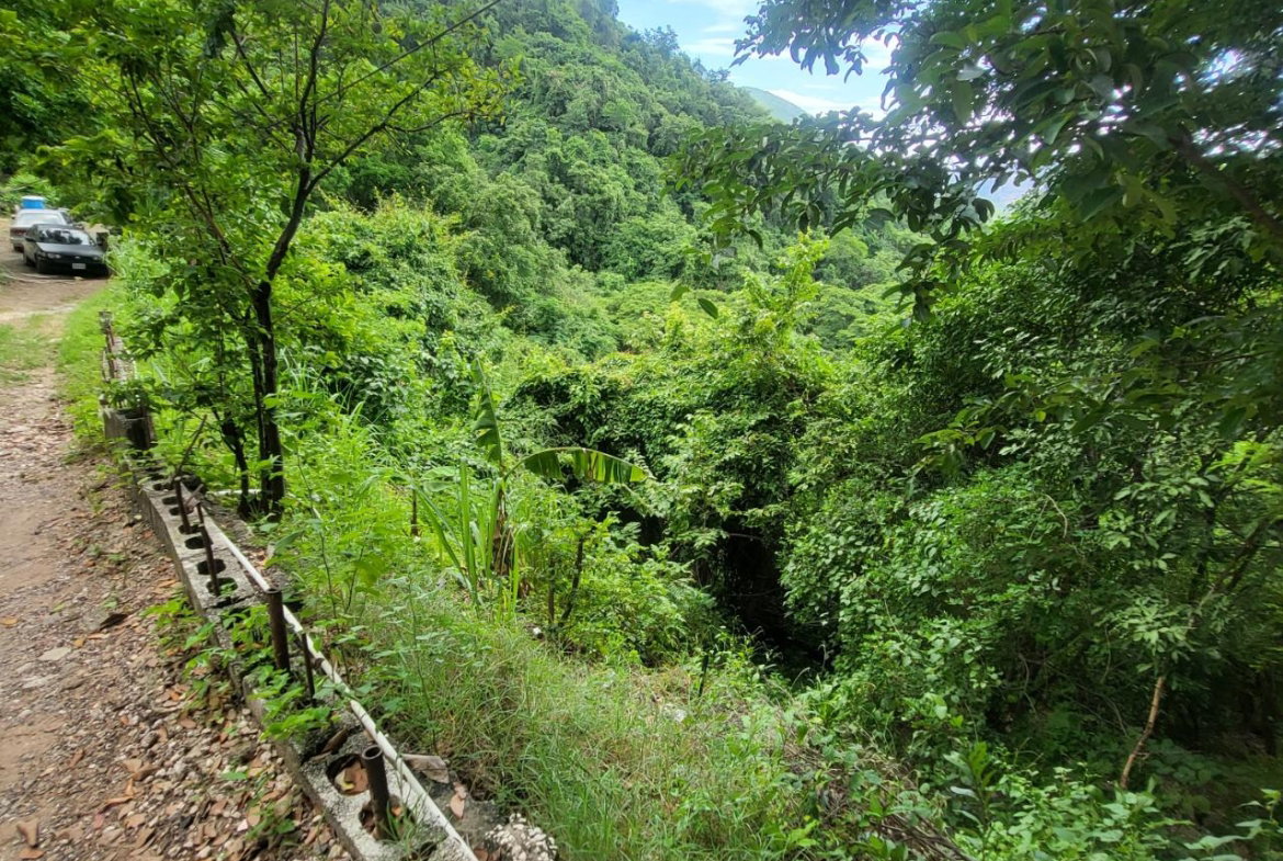 Third image of Part of Kintyre And Hope in PAPINE, St. Andrew, Jamaica - property is For Sale