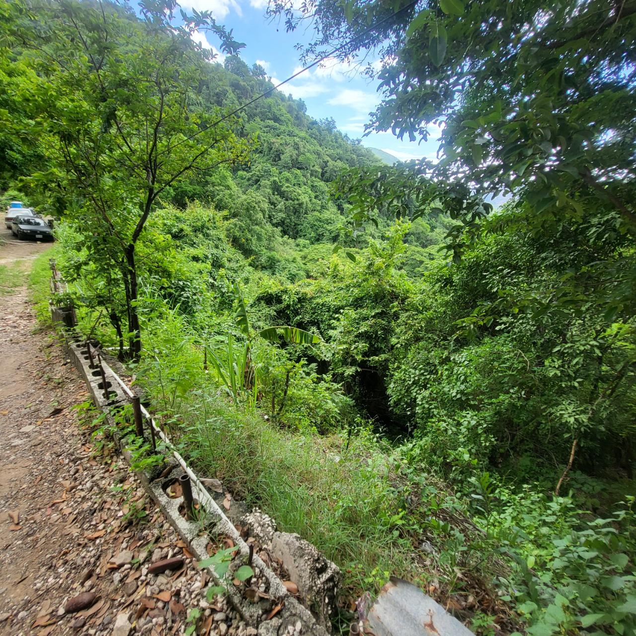 Fertile-Development-Land-for-Sale-in-St.-Andrew-Jamaica Third image of Part of Kintyre And Hope in PAPINE, St. Andrew, Jamaica - property is For Sale