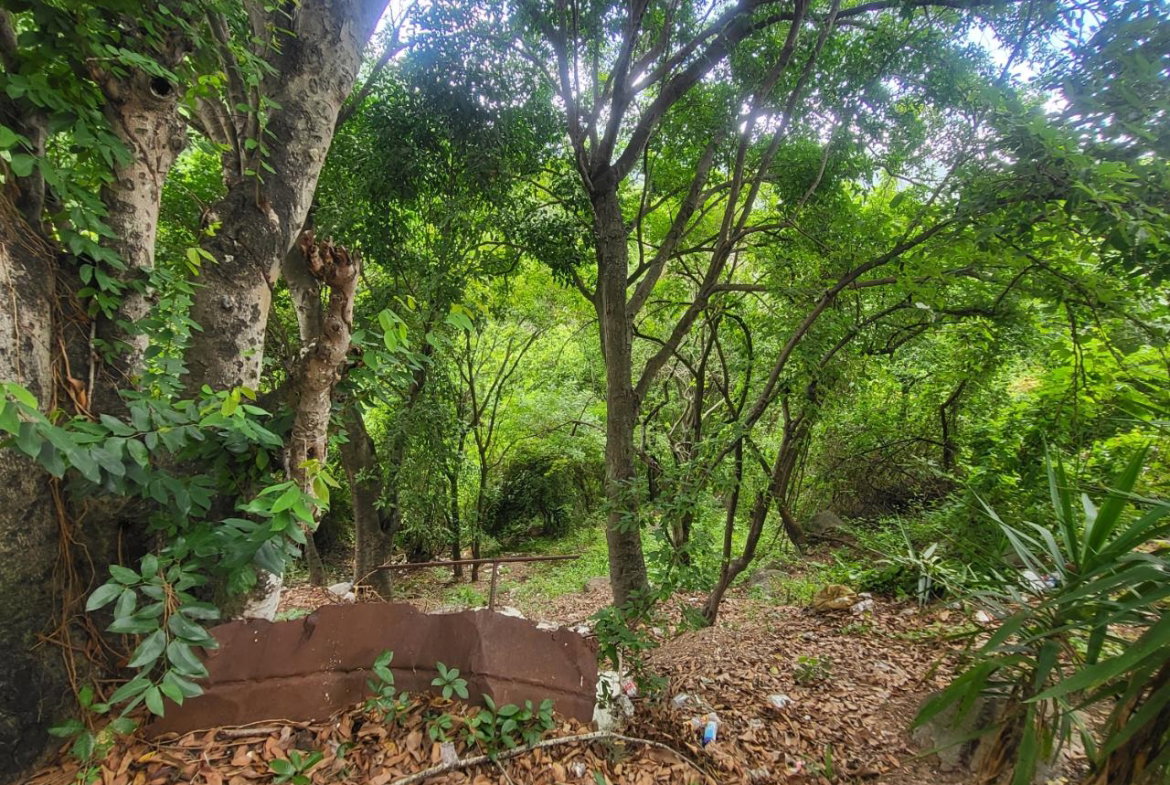 Fourth image of Part of Kintyre And Hope in PAPINE, St. Andrew, Jamaica - property is For Sale