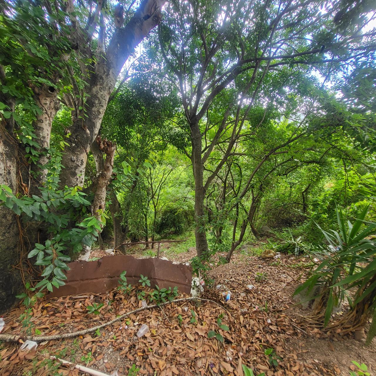 Fertile-Development-Land-for-Sale-in-St.-Andrew-Jamaica Fourth image of Part of Kintyre And Hope in PAPINE, St. Andrew, Jamaica - property is For Sale