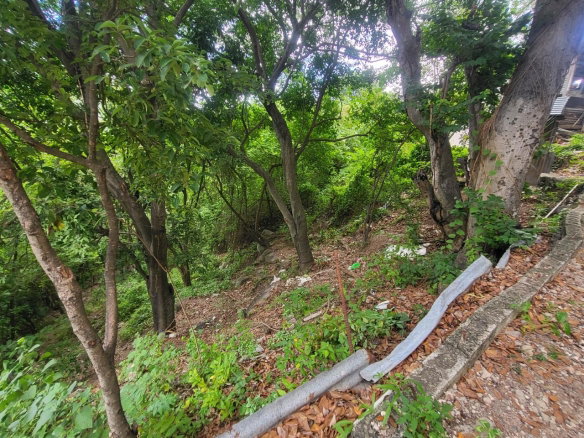 First image of Part of Kintyre And Hope in PAPINE, St. Andrew, Jamaica - property is For Sale