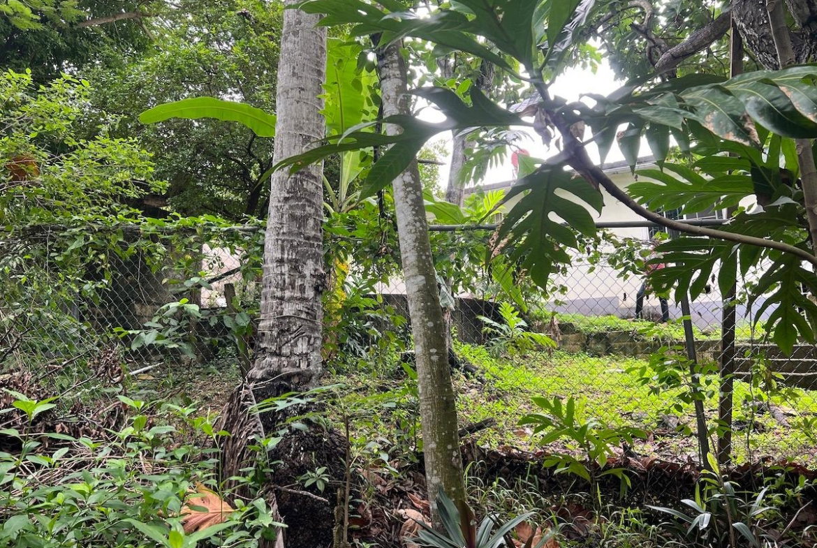 Twenty-Sixth image of 58 Vernons Drive, Montego ba in Montego Bay, St. James, Jamaica - property is For Sale
