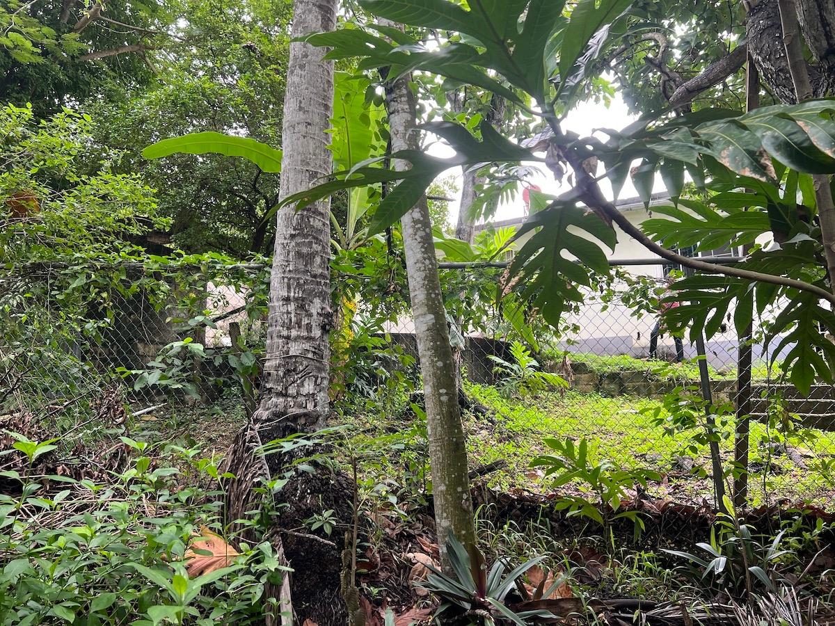 Fixer-Upper-4-Bedroom-Home-for-Sale-in-Montego-Bay-Jamaica Twenty-Sixth image of 58 Vernons Drive, Montego ba in Montego Bay, St. James, Jamaica - property is For Sale