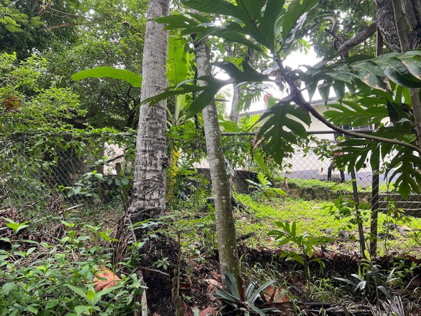 Twenty-Sixth image of 58 Vernons Drive, Montego ba in Montego Bay, St. James, Jamaica - property is For Sale