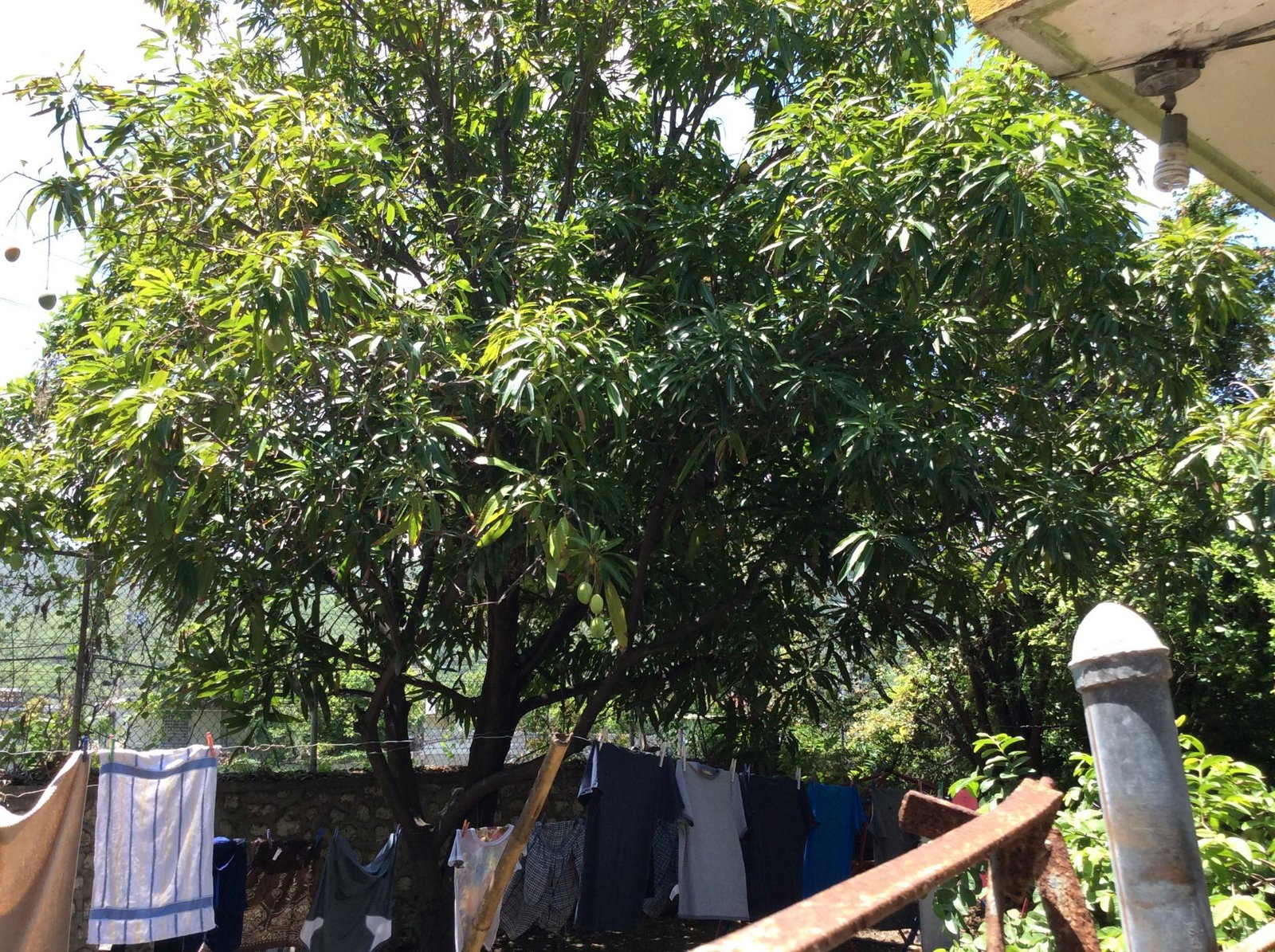 Eighth image of 34 Caribbean Terrace, Harbou in HARBOUR VIEW, St. Andrew, Jamaica - property is For Sale