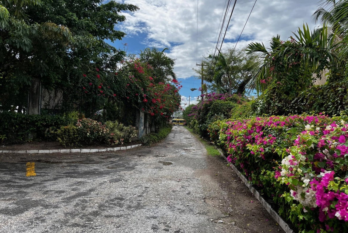 Twenty-Fourth image of 4-82a Hope Road in Kingston 6, St. Andrew, Jamaica - property is For Sale
