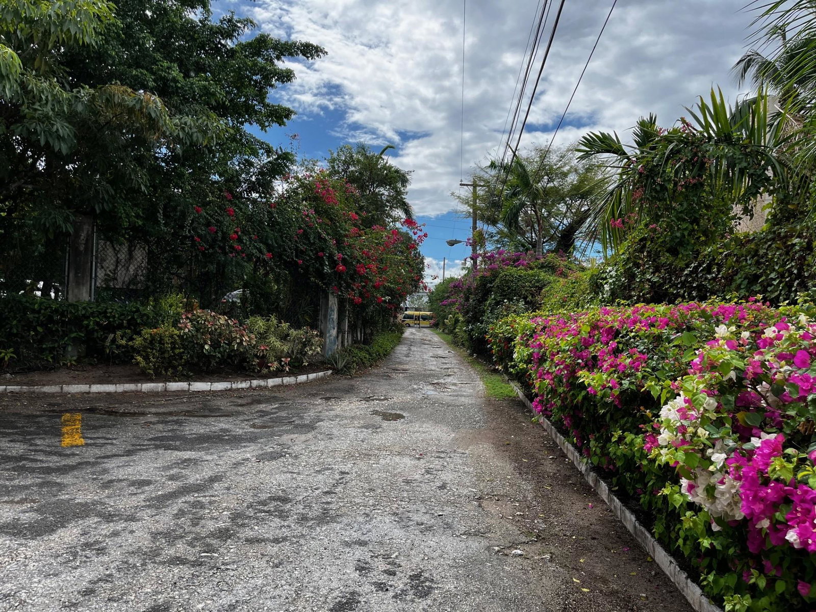 Twenty-Fourth image of 4-82a Hope Road in Kingston 6, St. Andrew, Jamaica - property is For Sale