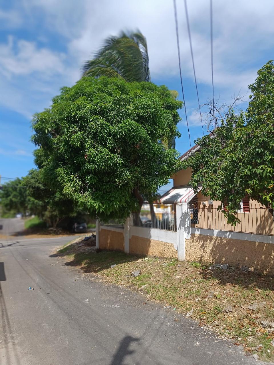 Second image of 207 Hibiscus Close Bushy Park in Bushy Park, Clarendon, Jamaica - property is For Sale