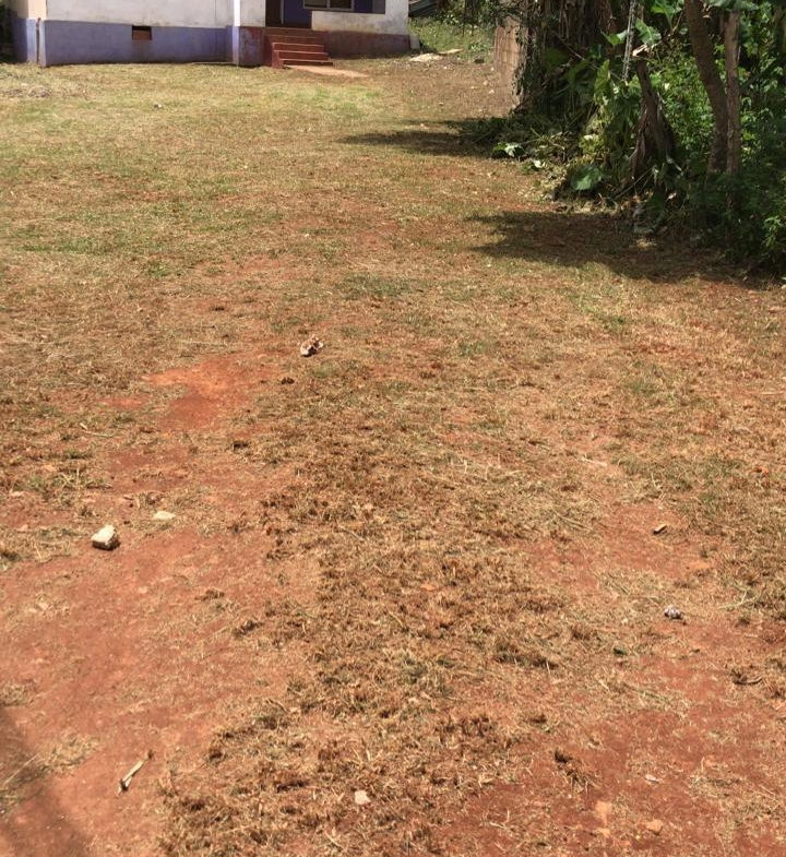 Second image of Clarkes Town Road in Mandeville, Manchester, Jamaica - property is For Sale