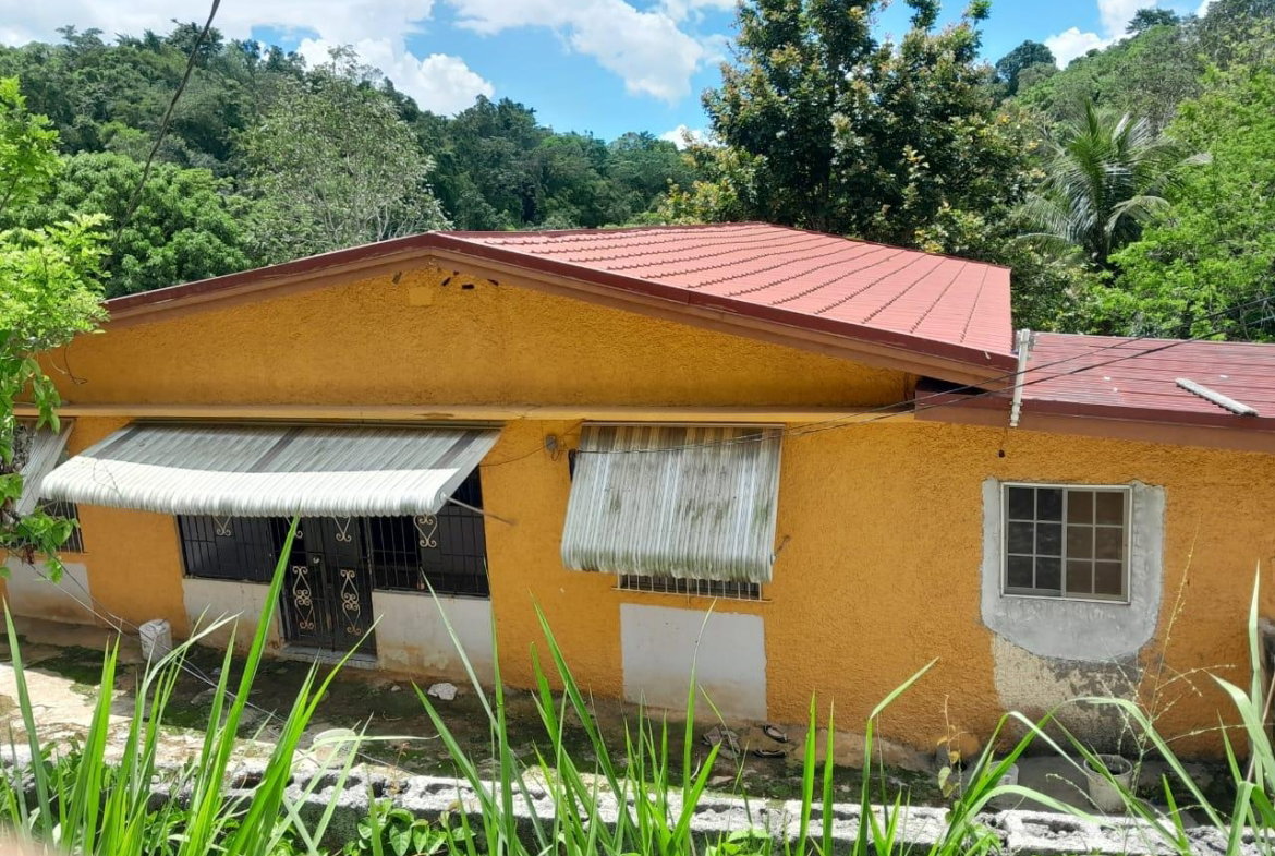 First image of Lot 111 Mile Gully in MILE GULLY, Manchester, Jamaica - property is For Sale