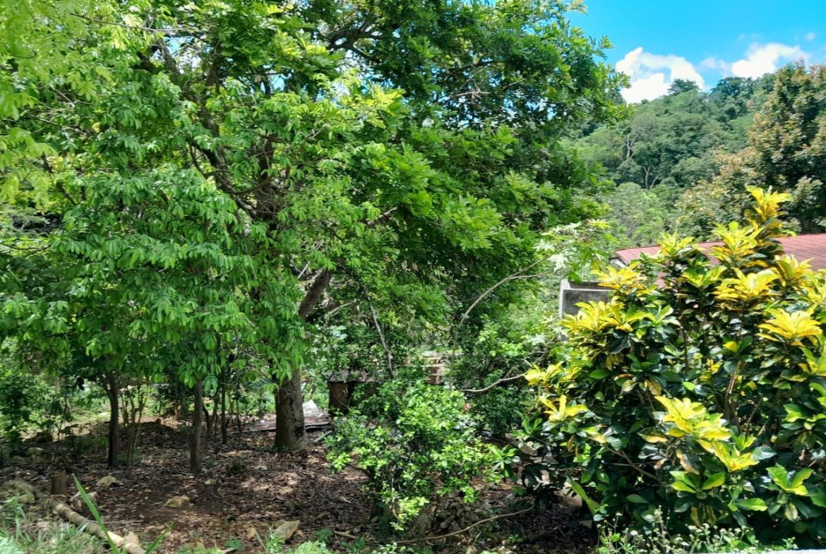 Fifth image of Lot 111 Mile Gully in MILE GULLY, Manchester, Jamaica - property is For Sale