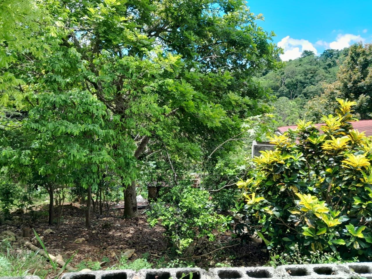 Fifth image of Lot 111 Mile Gully in MILE GULLY, Manchester, Jamaica - property is For Sale