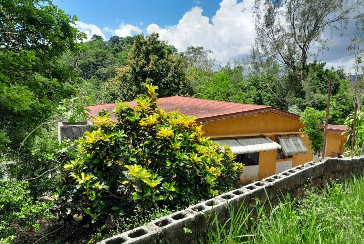 Sixth image of Lot 111 Mile Gully in MILE GULLY, Manchester, Jamaica - property is For Sale