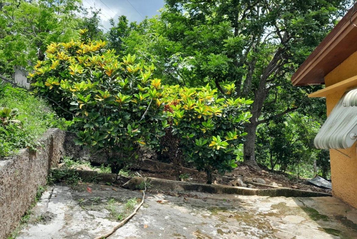 Eighth image of Lot 111 Mile Gully in MILE GULLY, Manchester, Jamaica - property is For Sale