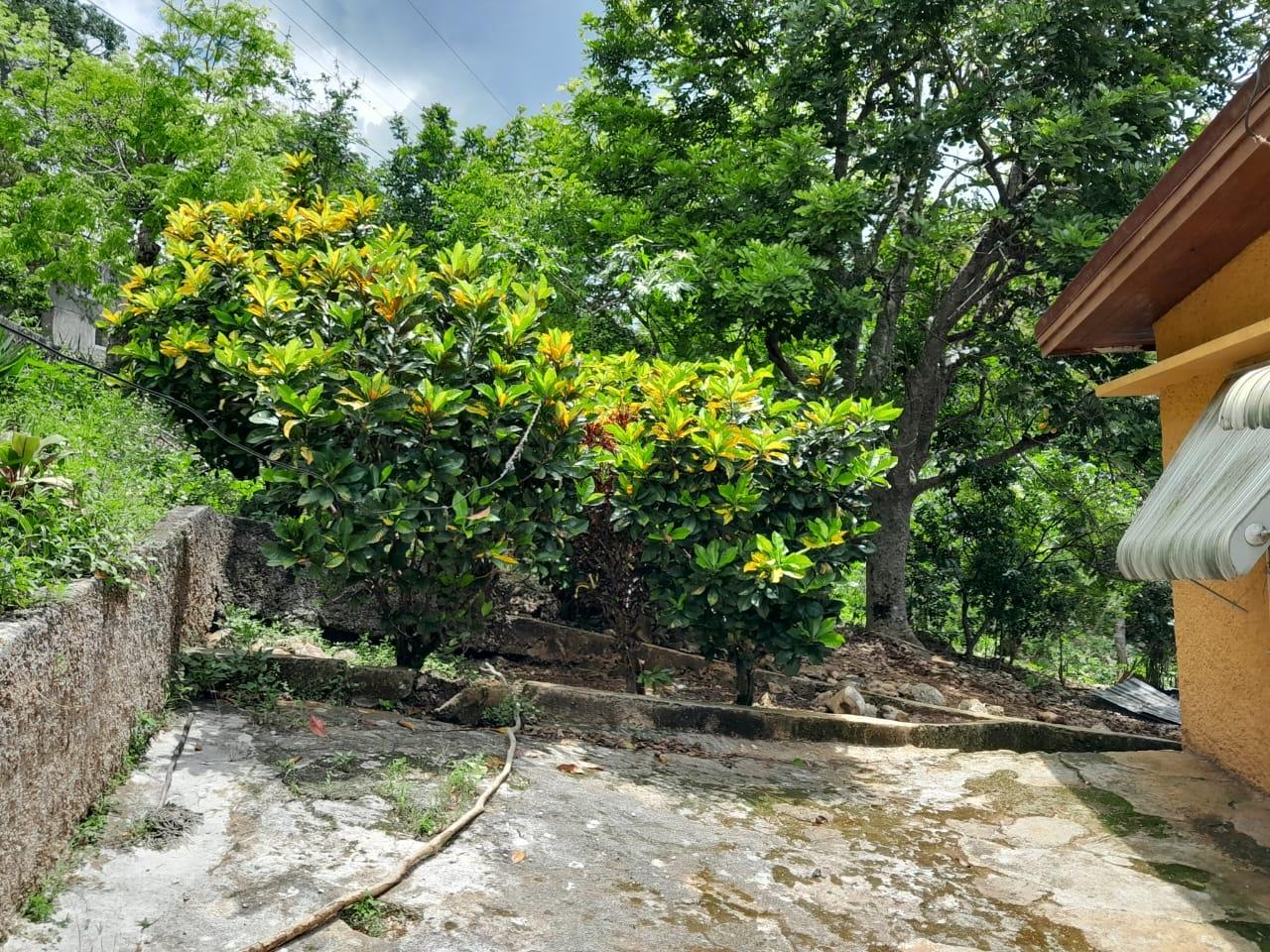 Eighth image of Lot 111 Mile Gully in MILE GULLY, Manchester, Jamaica - property is For Sale