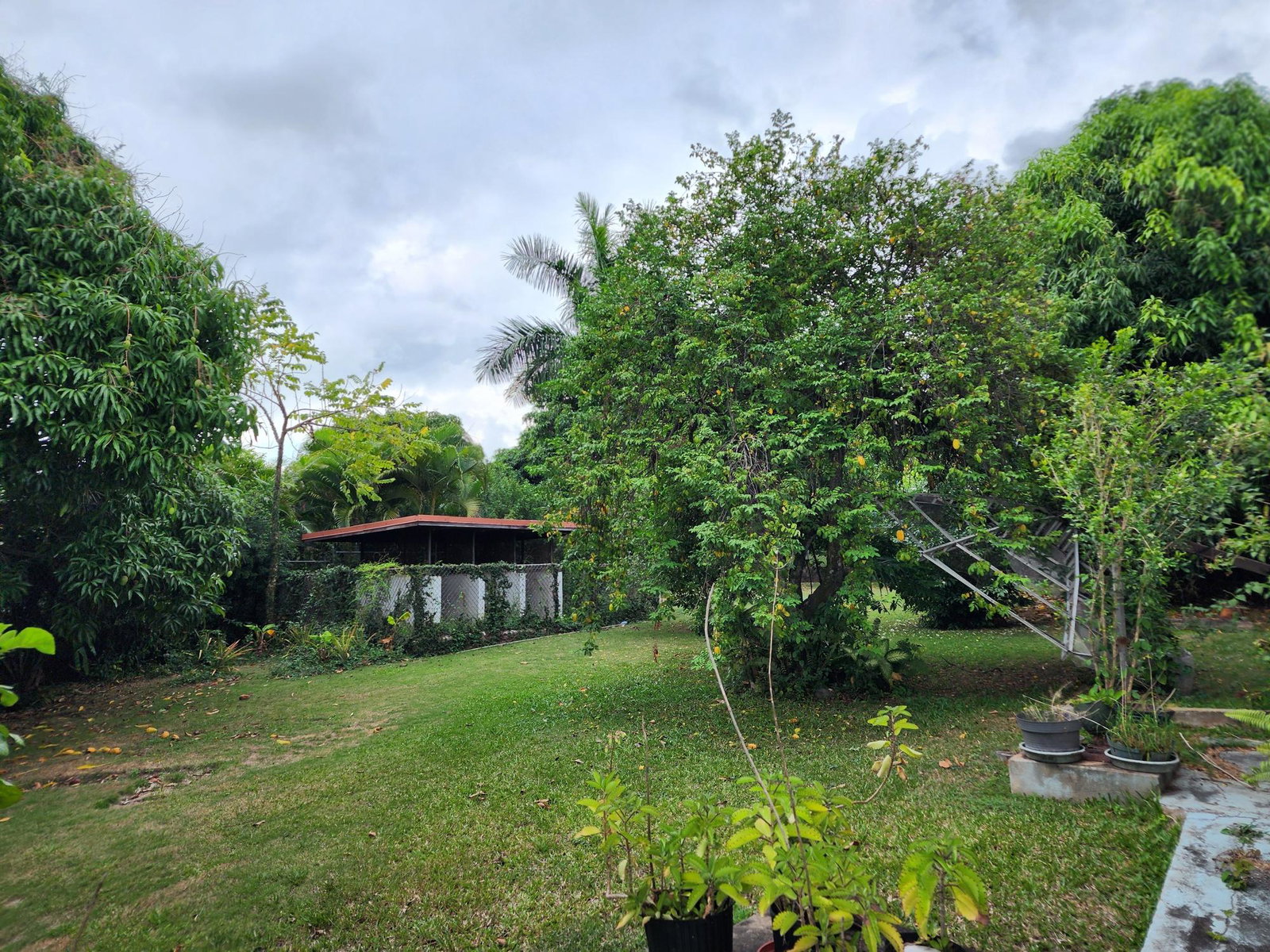 Eighth image of 30 Upper Carmel Avenue in Kingston 8, St. Andrew, Jamaica - property is For Sale