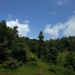 First image of 6 Rickman Drive in Bamboo, St. Ann, Jamaica - property is For Sale