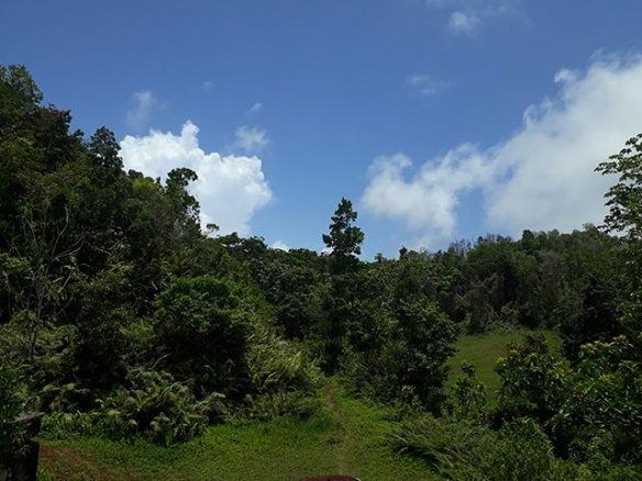 First image of 6 Rickman Drive in Bamboo, St. Ann, Jamaica - property is For Sale