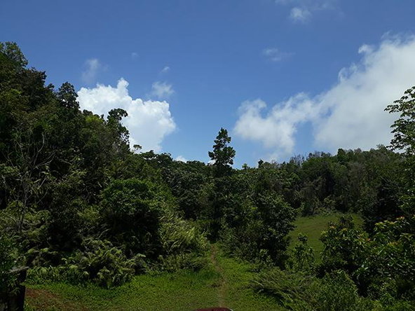 First image of 6 Rickman Drive in Bamboo, St. Ann, Jamaica - property is For Sale