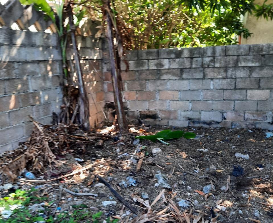 Thirteenth image of b Salem Back Road, st Ann in Runaway Bay, St. Ann, Jamaica - property is For Sale