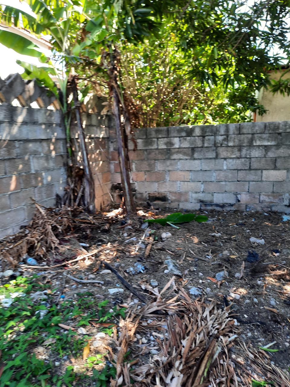 Thirteenth image of b Salem Back Road, st Ann in Runaway Bay, St. Ann, Jamaica - property is For Sale