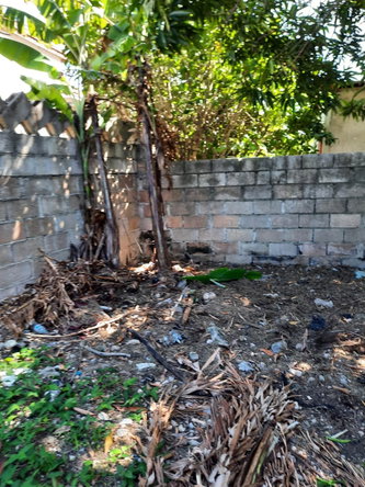 Thirteenth image of b Salem Back Road, st Ann in Runaway Bay, St. Ann, Jamaica - property is For Sale