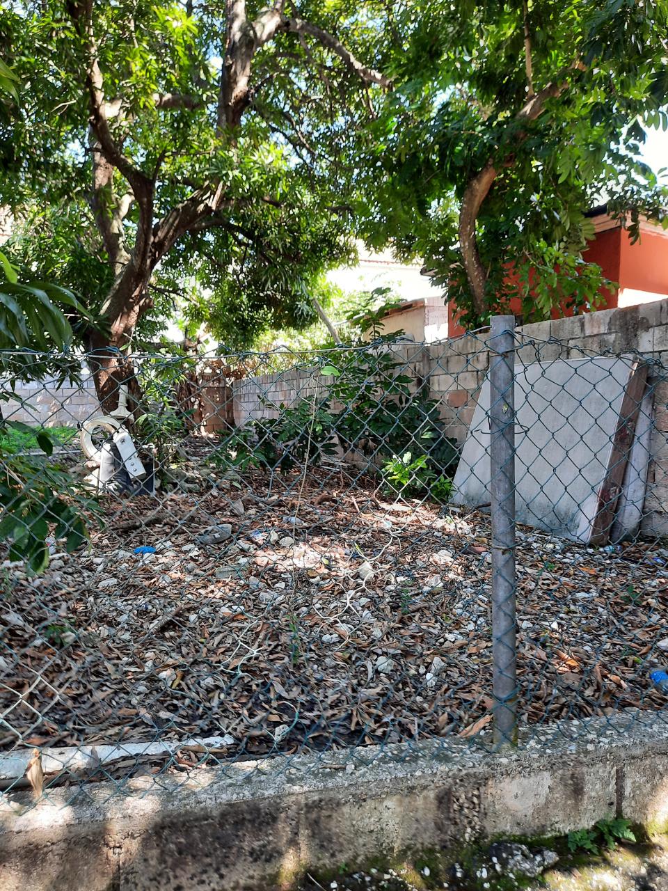 Fourteenth image of b Salem Back Road, st Ann in Runaway Bay, St. Ann, Jamaica - property is For Sale