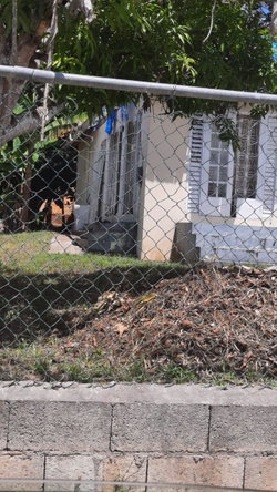 Fourth image of 788 Old Rhyne Park in Montego Bay, St. James, Jamaica - property is For Sale