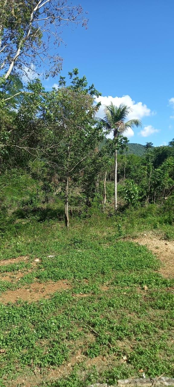 Second image of Spring Grove Road in Porus, Manchester, Jamaica - property is For Sale
