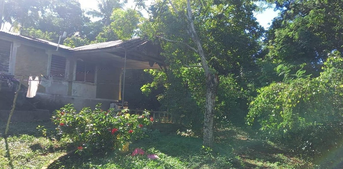 Eleventh image of Spring Grove Road in Porus, Manchester, Jamaica - property is For Sale