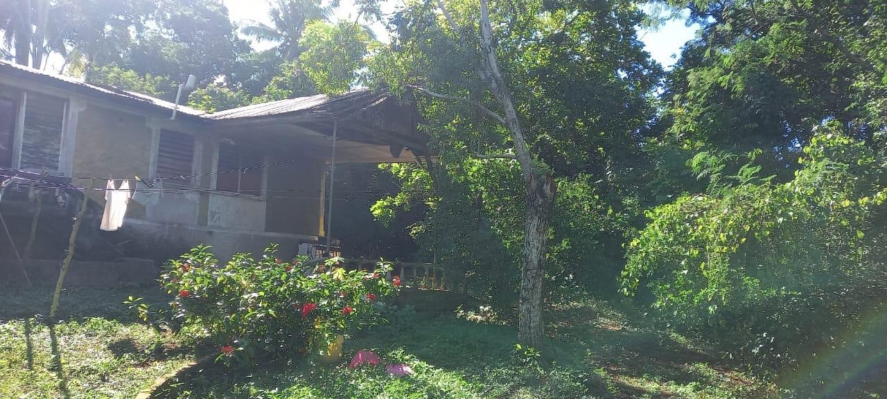 Eleventh image of Spring Grove Road in Porus, Manchester, Jamaica - property is For Sale