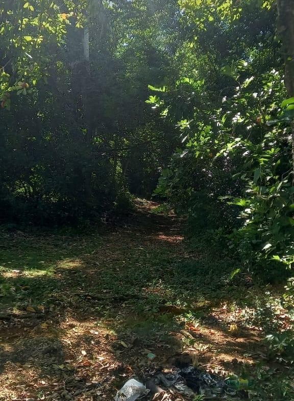 Twelfth image of Spring Grove Road in Porus, Manchester, Jamaica - property is For Sale