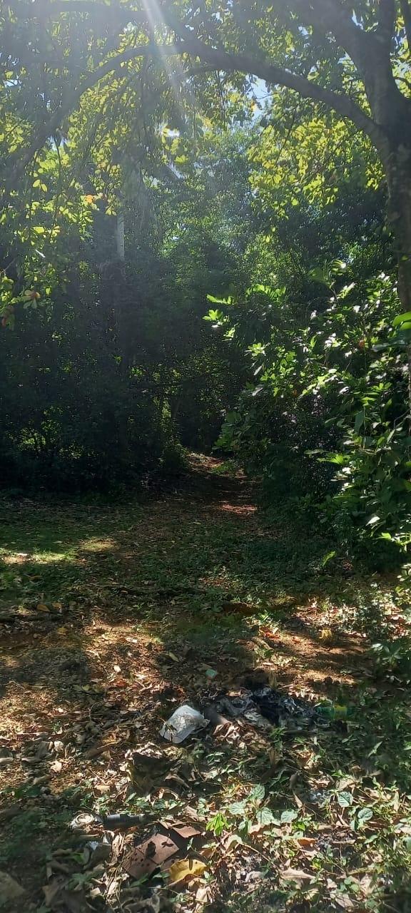 Twelfth image of Spring Grove Road in Porus, Manchester, Jamaica - property is For Sale