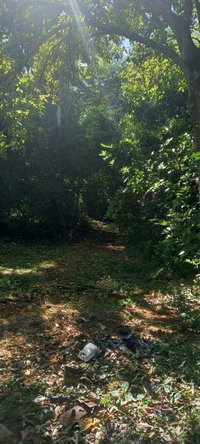 Twelfth image of Spring Grove Road in Porus, Manchester, Jamaica - property is For Sale