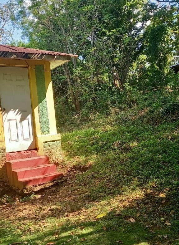 Thirteenth image of Spring Grove Road in Porus, Manchester, Jamaica - property is For Sale