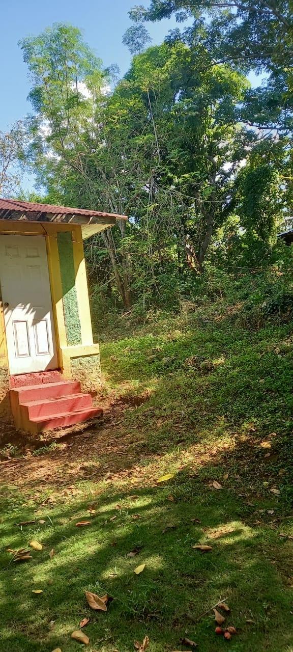 Thirteenth image of Spring Grove Road in Porus, Manchester, Jamaica - property is For Sale